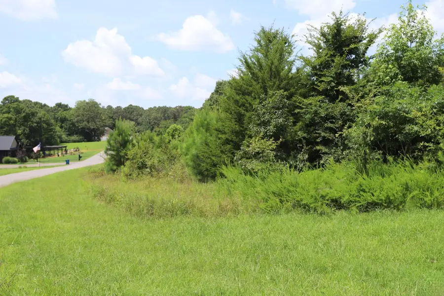 Lot 58 Kirk Ridge Drive, Murray, KY 42071 - #3