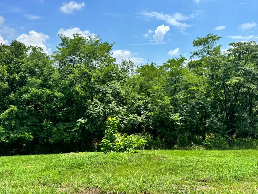 501 Clifton Avenue, Frankfort, KY 40601 - #2