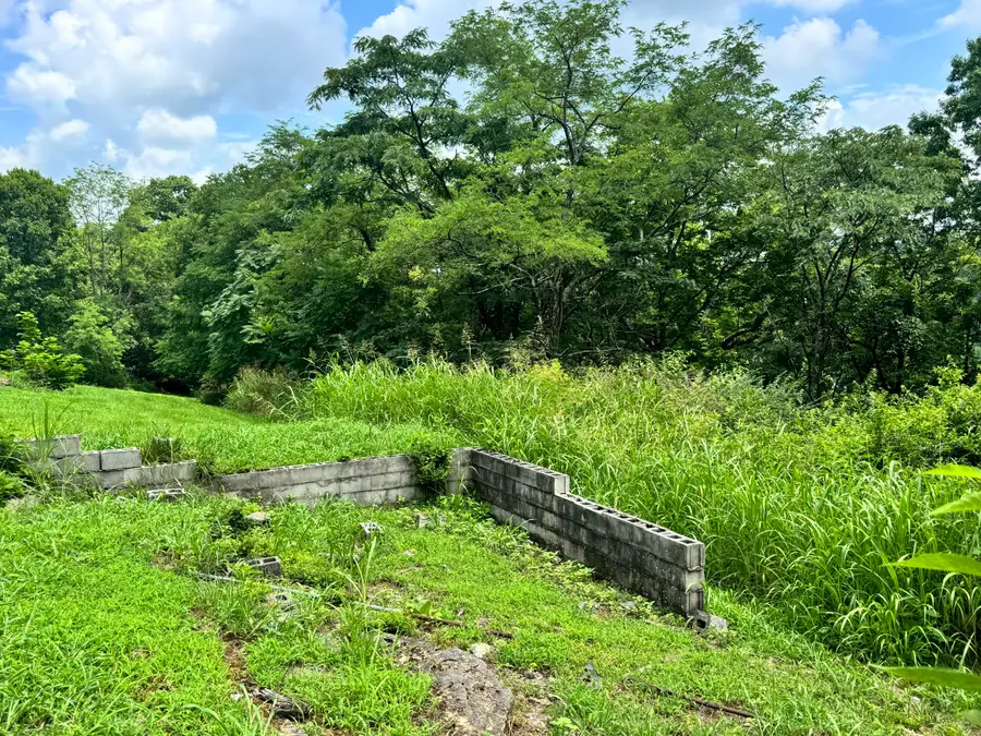 501 Clifton Avenue, Frankfort, KY 40601 - #3