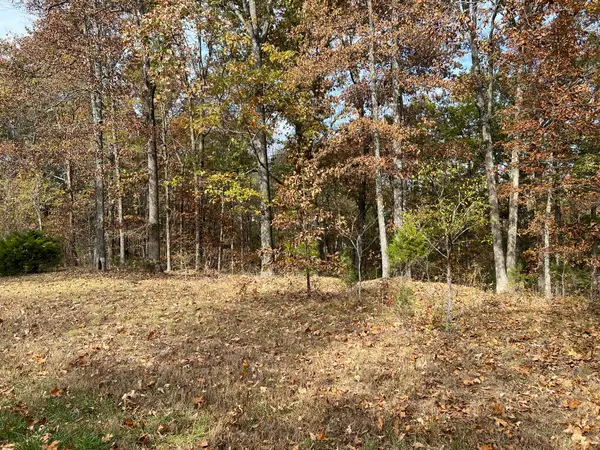 Lot 24 Haynes Cemetery Road, Murray, KY 42071