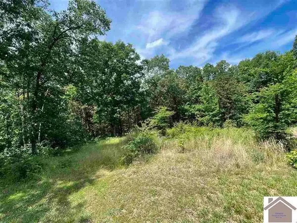 00 Dock Dr. Lot 66, Murray, KY 42071