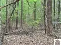 000 Motley Circle #Lot 12, Eddyville, KY 42038 - #2