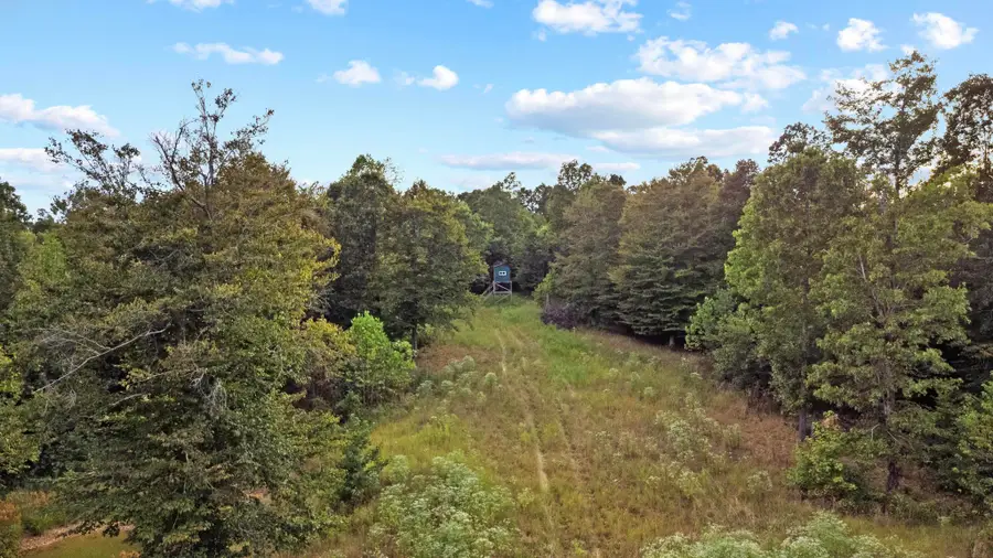 Land Rockcastle Road, Cadiz, KY 42211 - #2