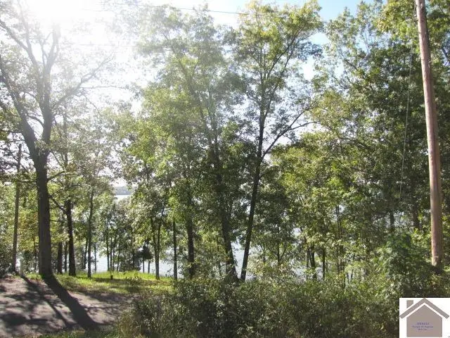 1776 Parkersville Rd Road, Eddyville, KY 42038 - #1