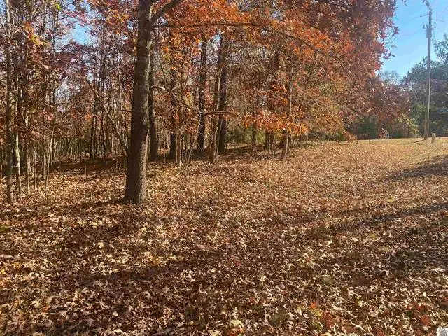 Lot 1 Faust Road, Benton, KY 42025 - #1