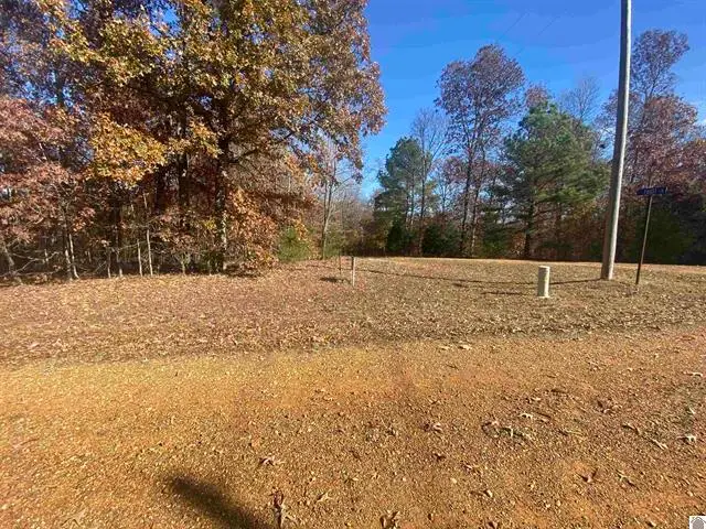 Lot 1 Faust Road, Benton, KY 42025 - #2