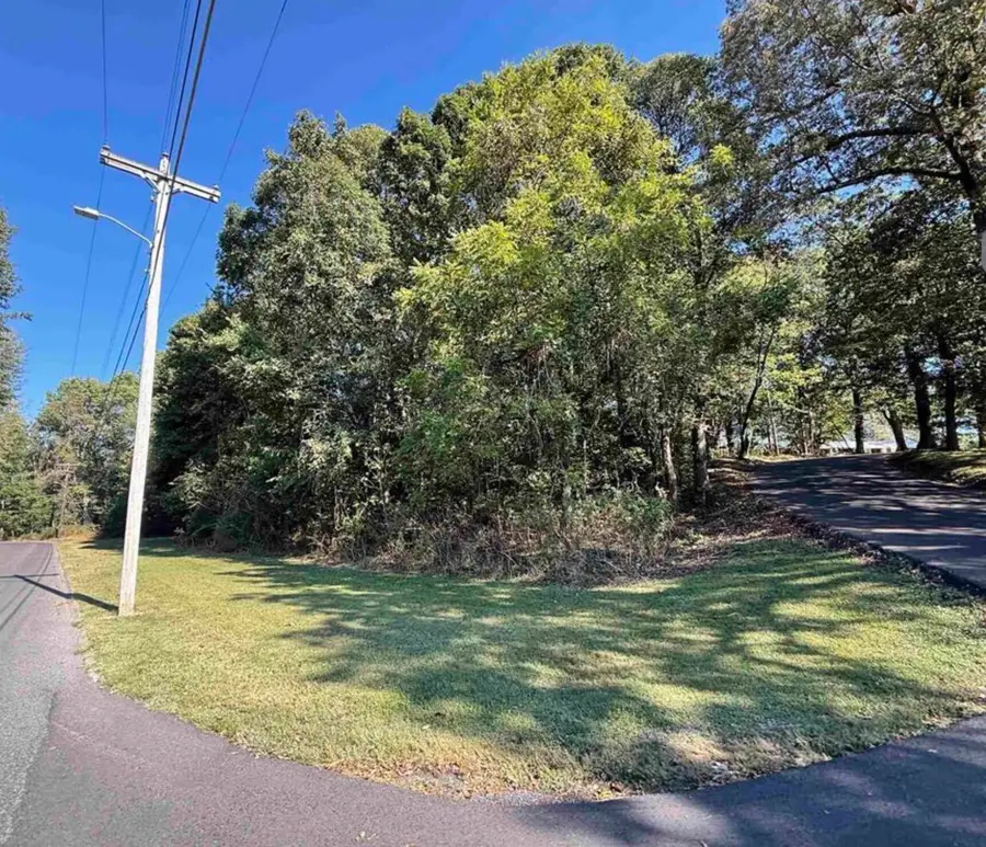 2.3 Acres Golf Cart Drive, Mayfield, KY 42066 - #3