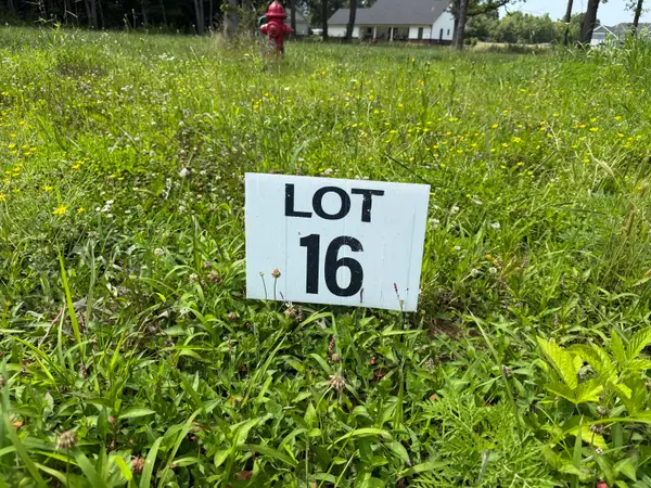 99 Ellie Court, Mayfield, KY 42066