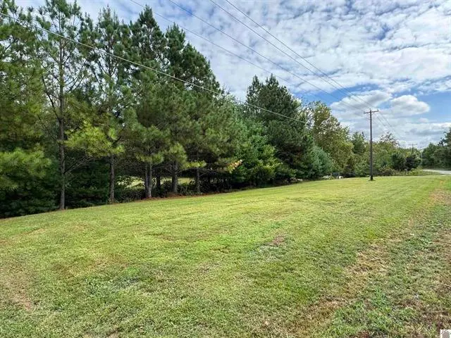 240 Jeff Watson Road, Princeton, KY 42445 - #1