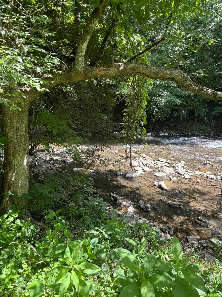 6250 Mccracken Pike, Frankfort, KY 40601 - #3