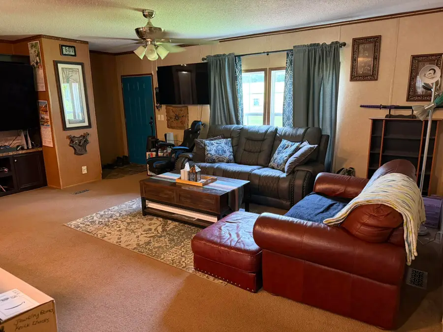 452 County Road 1209, Arlington, KY 42021 - #2