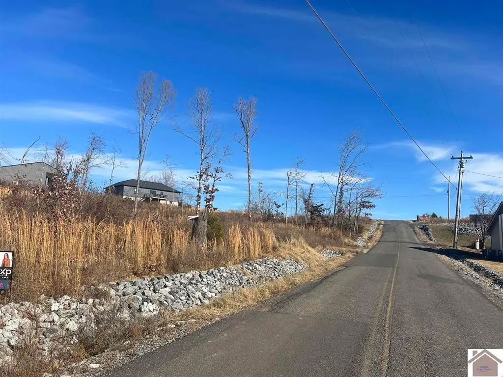 147 Cambridge Shores Drive, Gilbertsville, KY 42044 - #1
