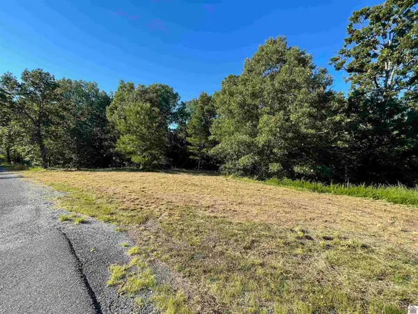 Lot 45 & 46 000 Patricia Drive, New Concord, KY 42076
