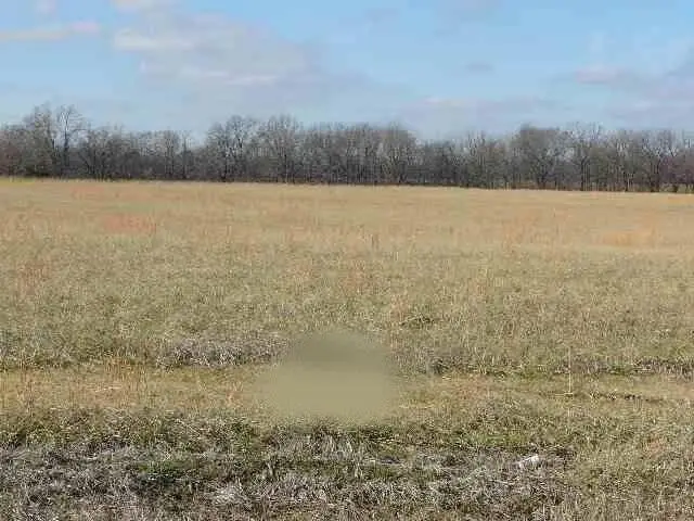 871 Ferren Road, Ledbetter, KY 42058 - #1