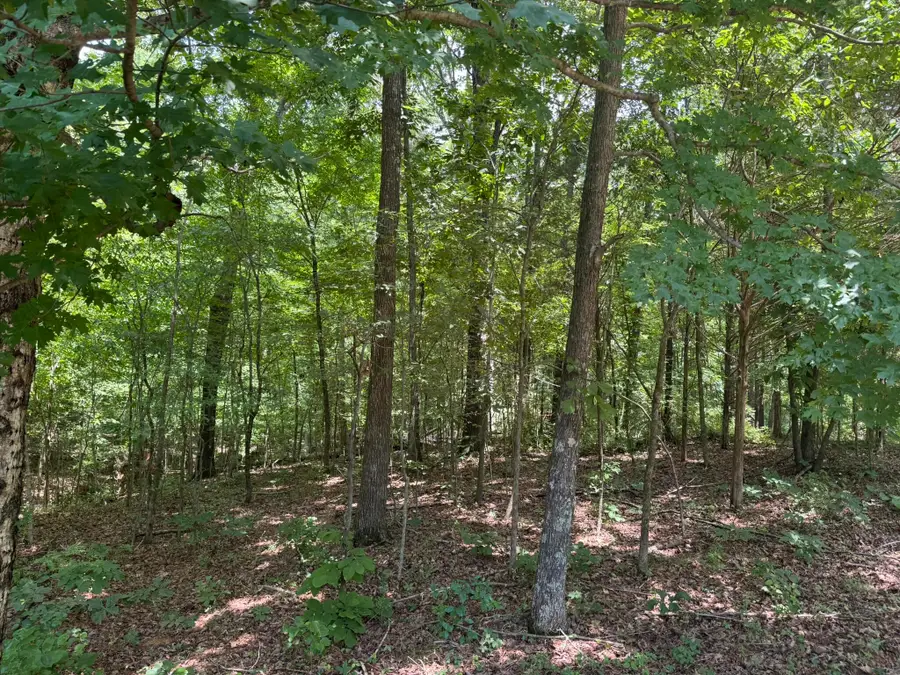 Lot 7 Woodsong Lane, Murray, KY 42071 - #2