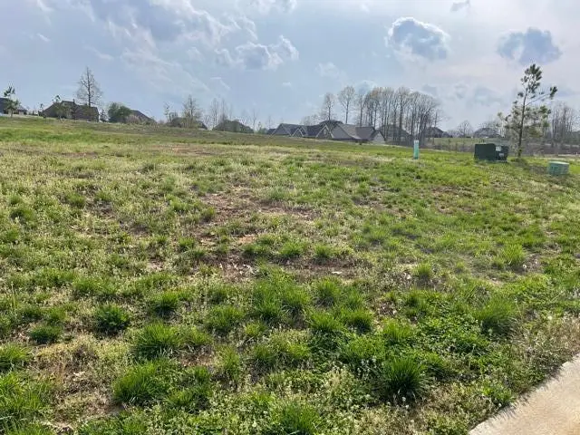 125 Low Ridge Lane, Paducah, KY 42003 - #3