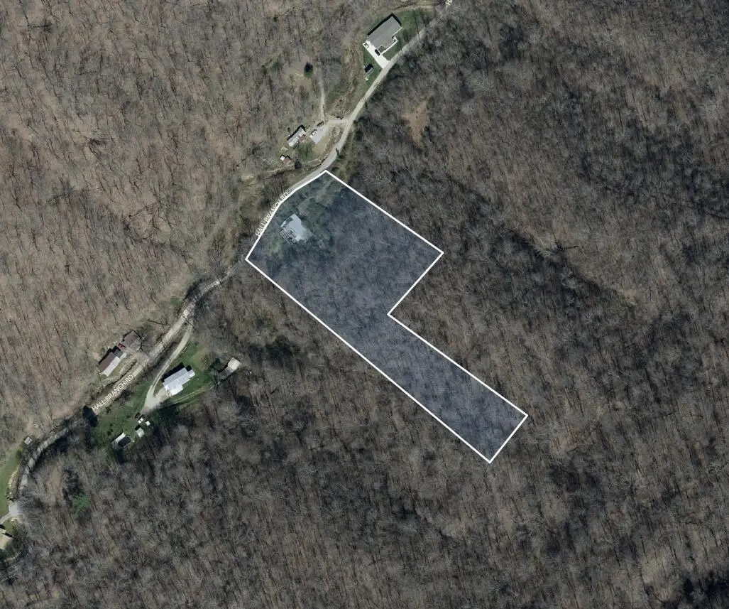 803 Hall Branch Road, Topmost, KY 41862 - #1