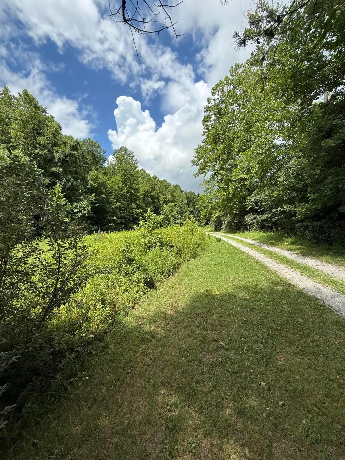 9999 Hwy 6 Aunt Kates Branch, Woodbine, KY 40771 - #1