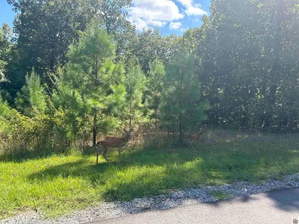 140 Centerview Road, Murray, KY 42071