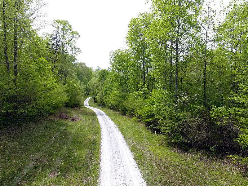 Tract 4 Dogwood Drive, Whitley City, KY 42653 - #2