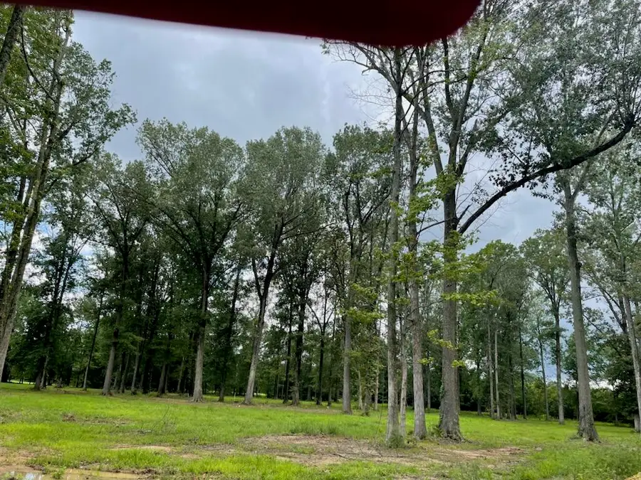 2630 Allison Drive, Paducah, KY 42003 - #2