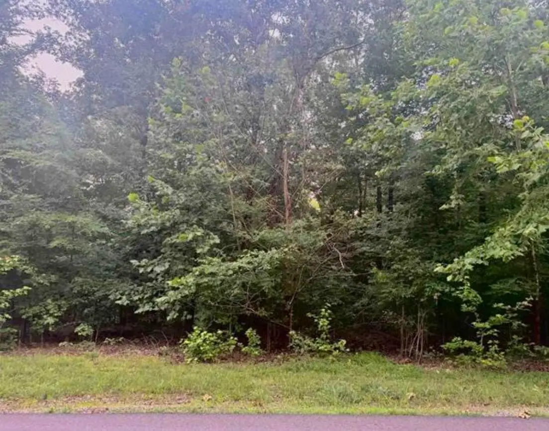 44 Mariner Lane, Murray, KY 42071 - #1