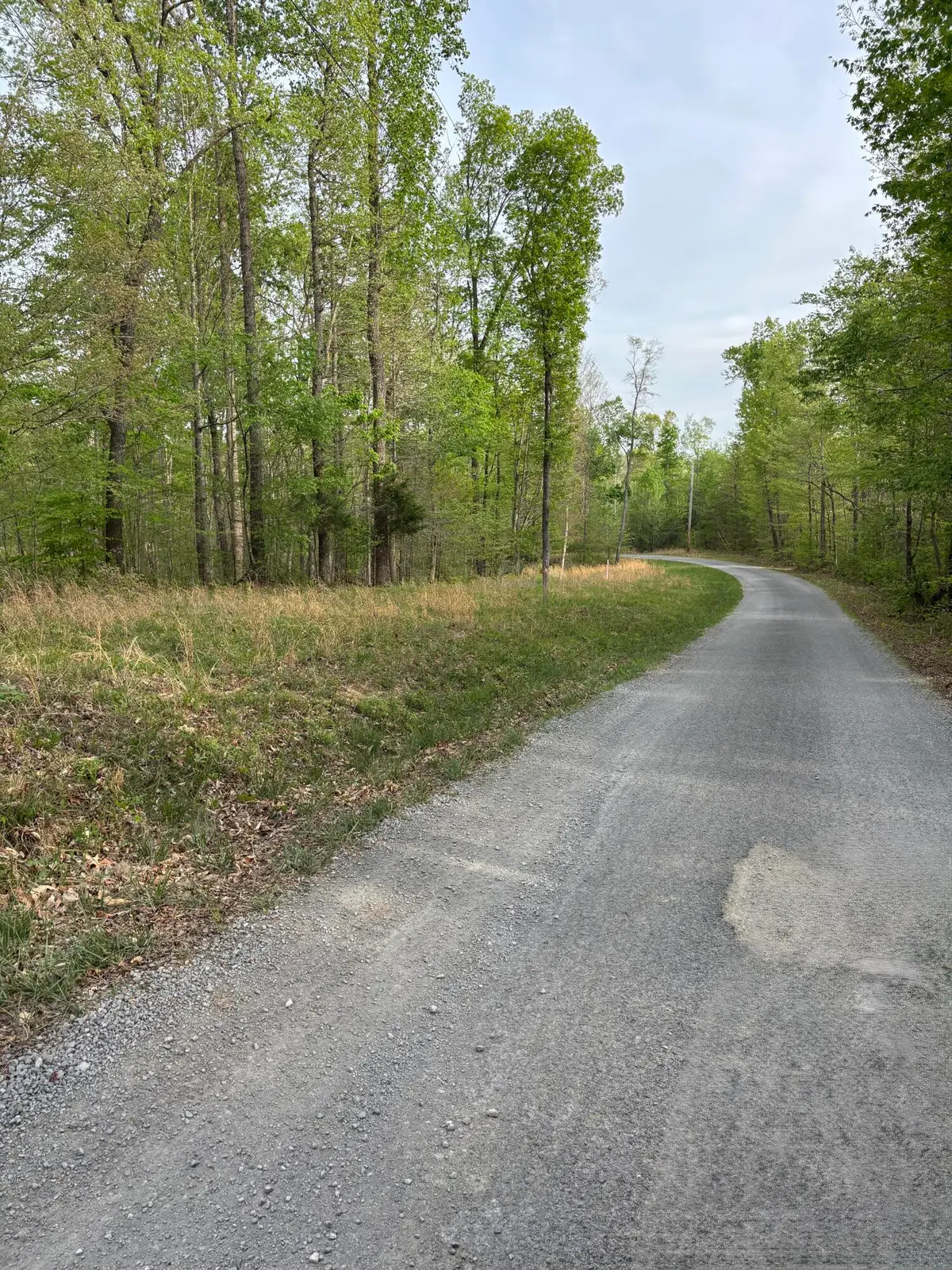 Lot 22  Campbell Road, Nancy, KY 42544 - #1