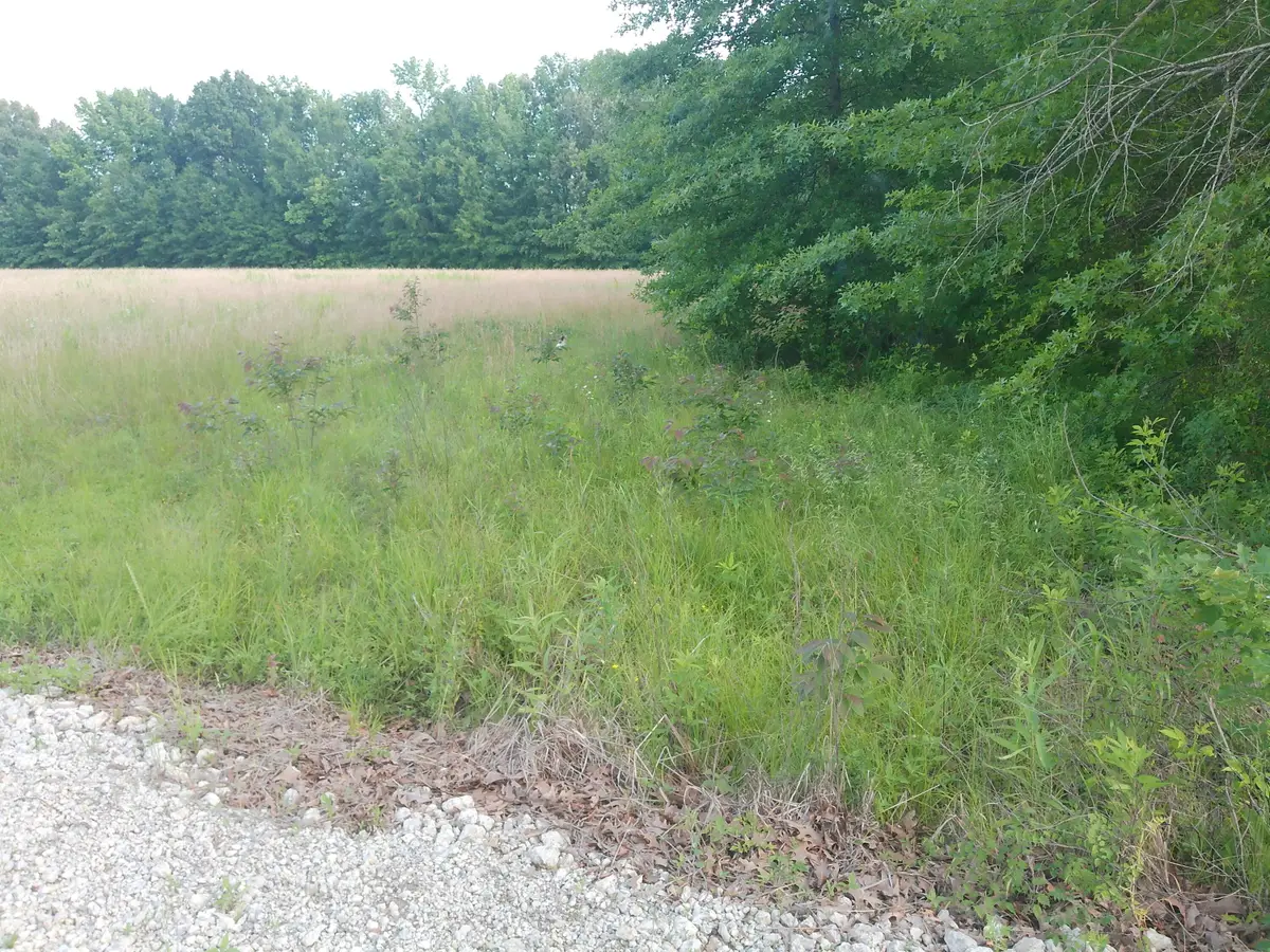 4400 Shemwell Lane, Paducah, KY 42003 - #1