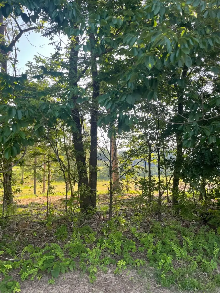 260 Forest Ridge Drive, Paducah, KY 42003 - #3