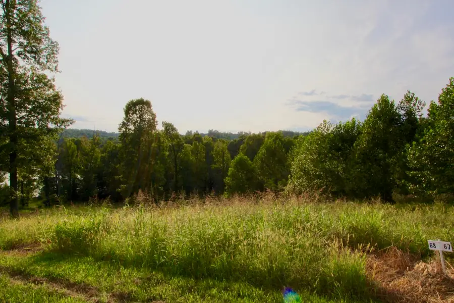 Lot 68 Kelsey Joe Lane, Eddyville, KY 42038 - #3