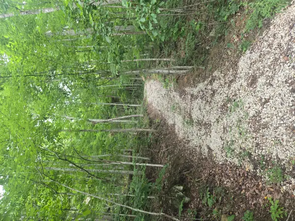 9999 Getaways Road #Lot 3, Stanton, KY 40380