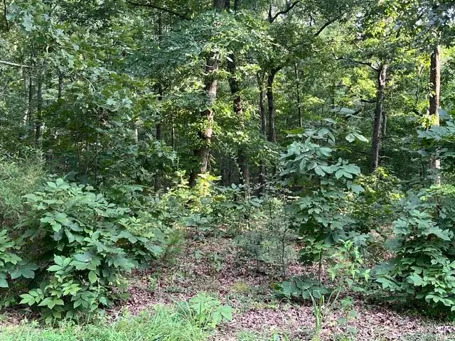 lot 99 Woodduck Lane Lane, Murray, KY 42071 - #3