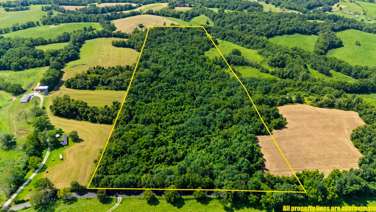 223 Plum Lick Road, Paris, KY 40361 - #1