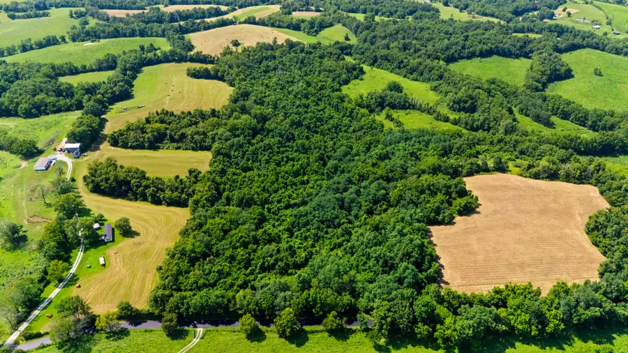 223 Plum Lick Road, Paris, KY 40361 - #2