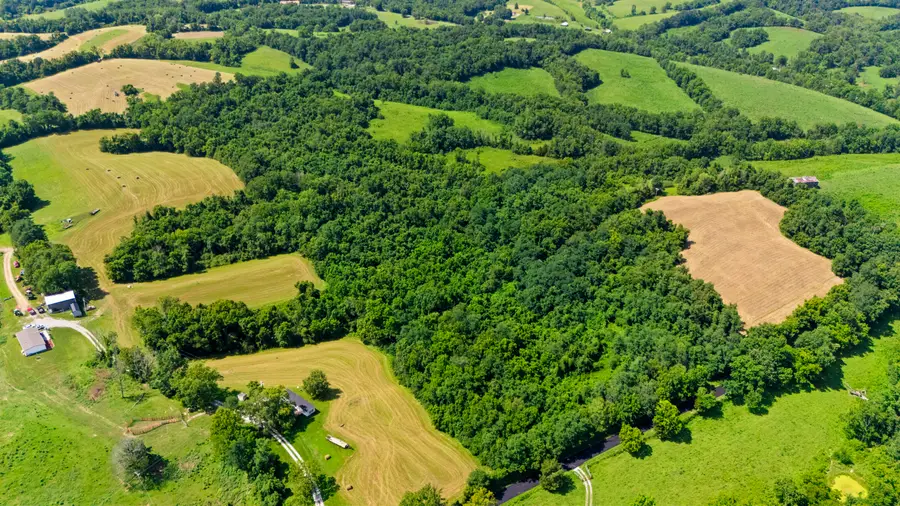 223 Plum Lick Road, Paris, KY 40361 - #3