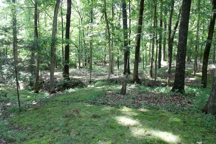 254 Kirk Ridge Road, Murray, KY 42071 - #2