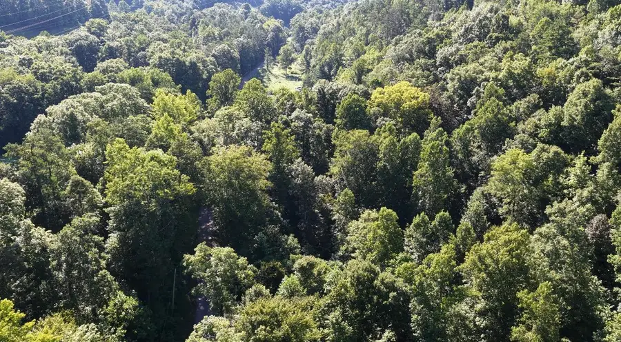 821 Doolittle Road, Annville, KY 40402 - #3