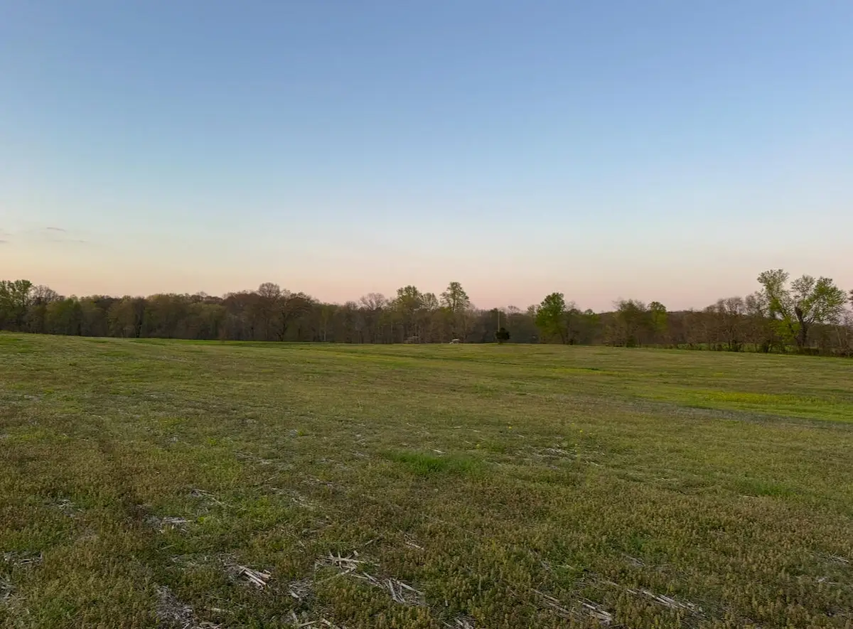 Tract 4 Pleasant Point Road, Nancy, KY 42544 - #1