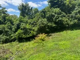 4116 Hart Street, Ashland, KY 41101