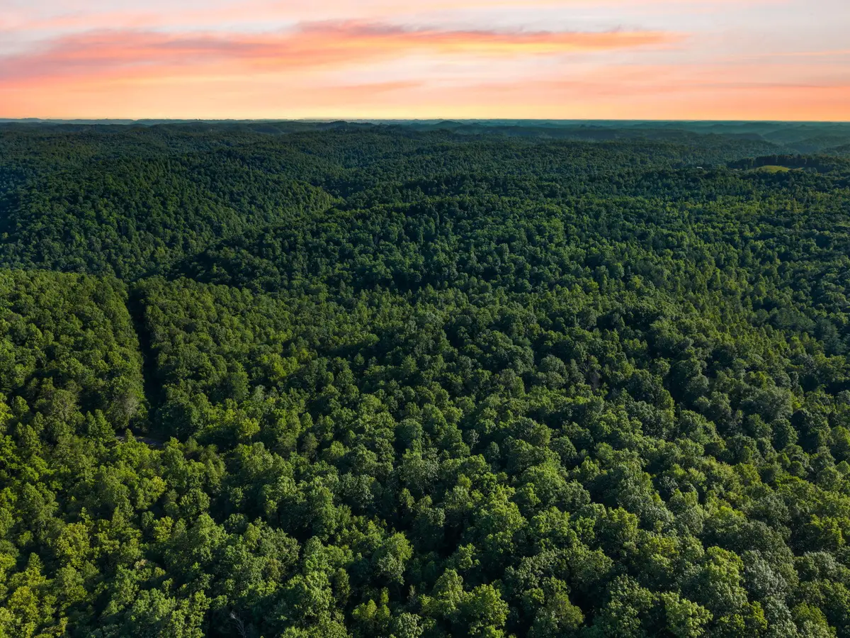 5399 Patsey Pilot Road, Ravenna, KY 40472 - #1
