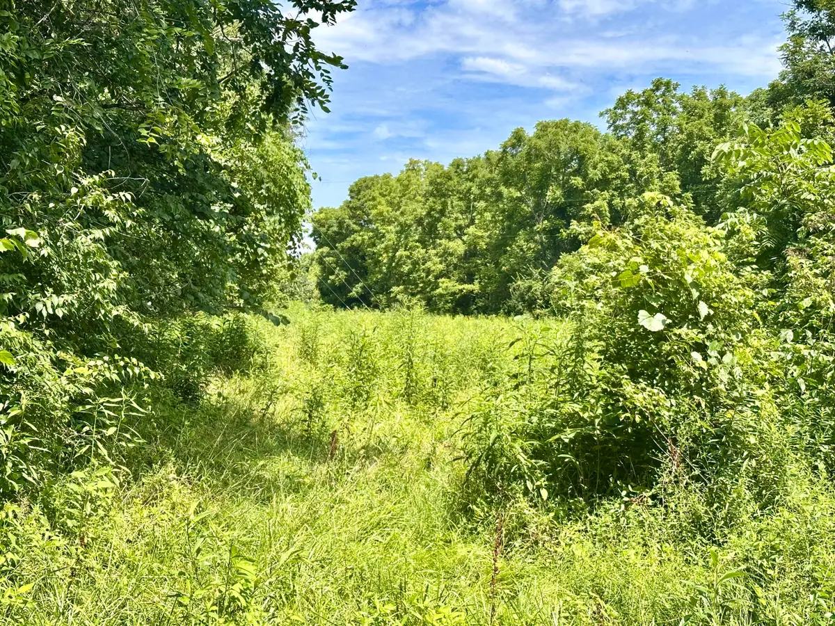 839 Saltwell Road, Carlisle, KY 40311 - #1