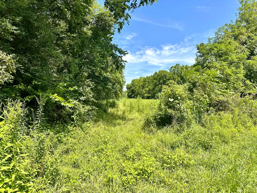 839 Saltwell Road, Carlisle, KY 40311 - #2