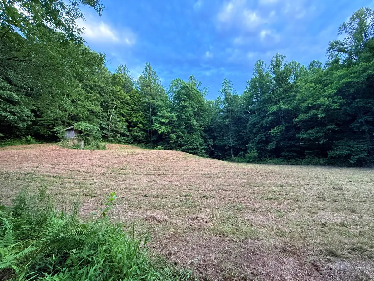 0  Mainous Road, Booneville, KY 41314 - #1