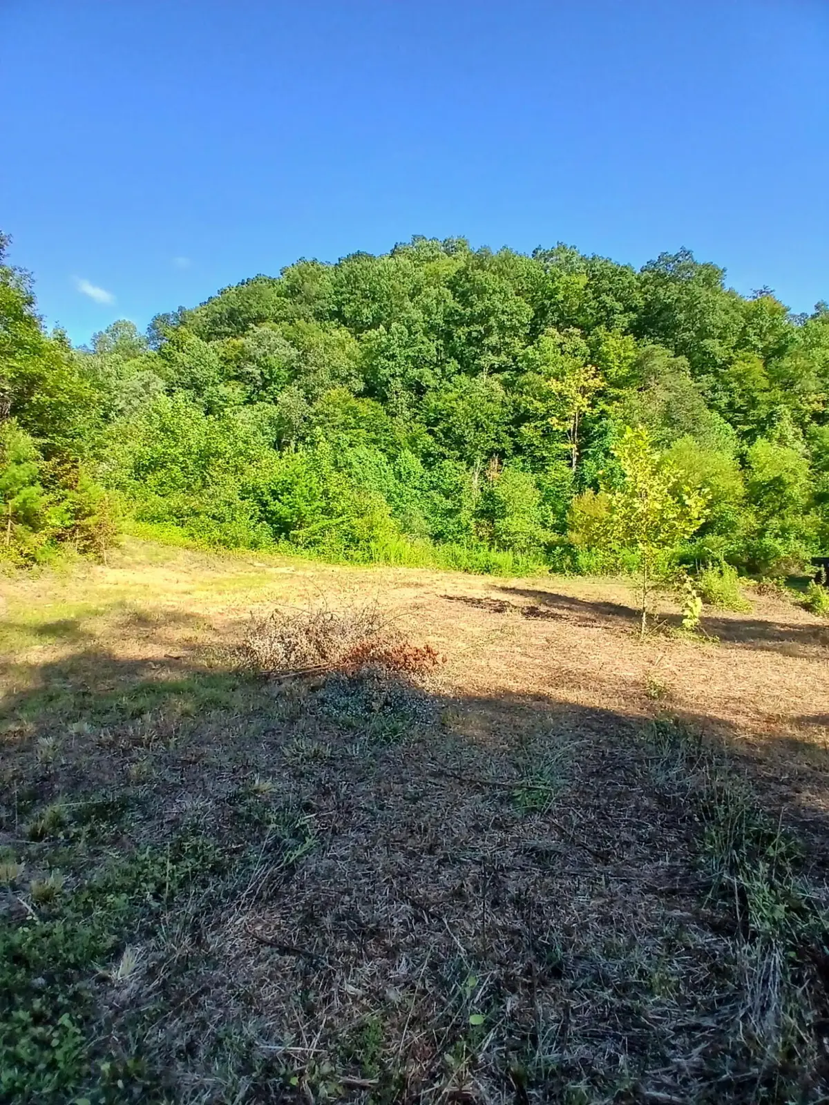 0 Bull Hollow Road, Manchester, KY 40962 - #1