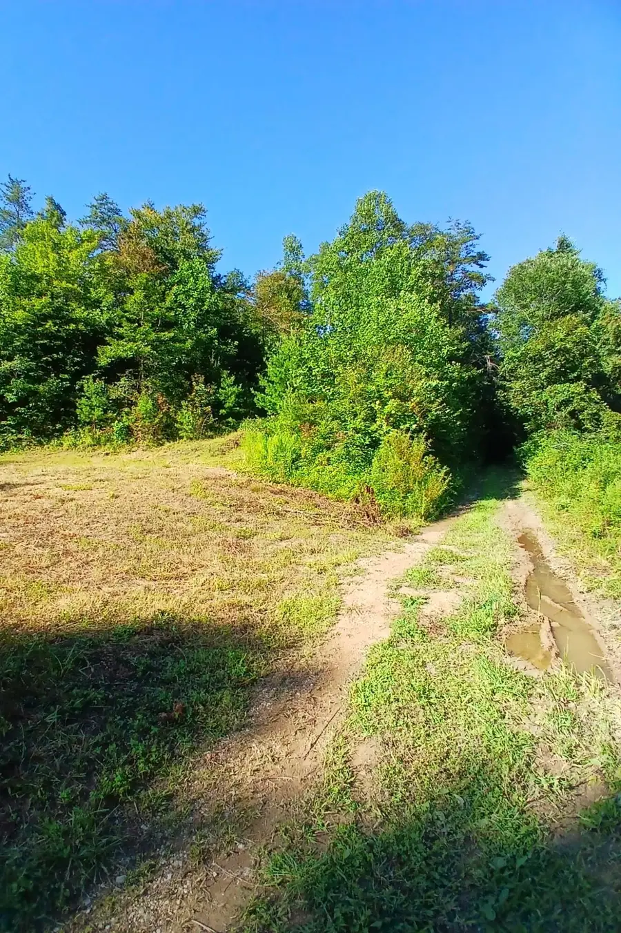 0 Bull Hollow Road, Manchester, KY 40962 - #3