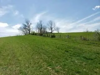 317 Cane Run Road, Carlisle, KY 40311 - #2