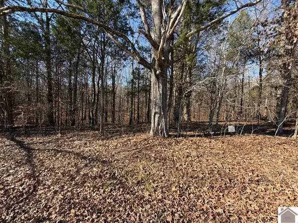 Lot 46 Bayridge Road, New Concord, KY 42076