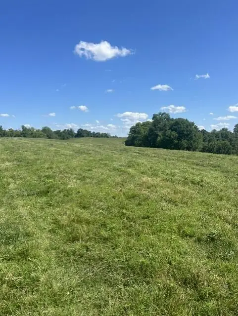 1699 Gillispie Road, Paris, KY 40361 - #3