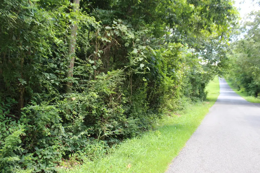 000 E 21st Street, Benton, KY 42025 - #2