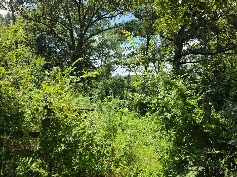 2131 Thurmond Road, Murray, KY 42071 - #2